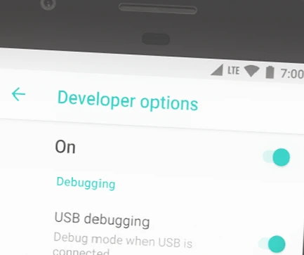 Developer Options on Android Device
