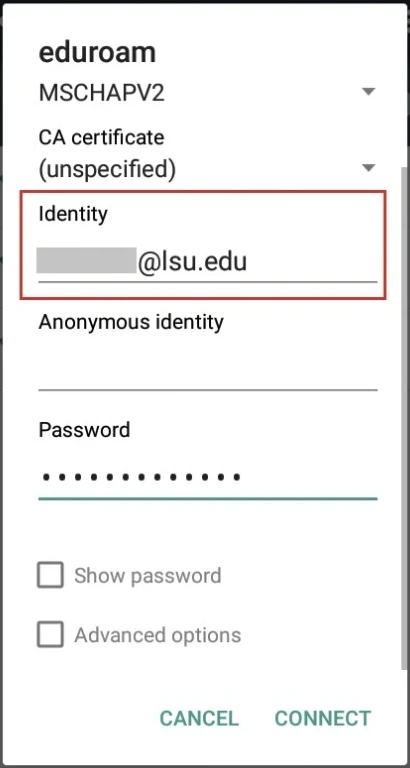 Entering Wi-Fi Credentials 