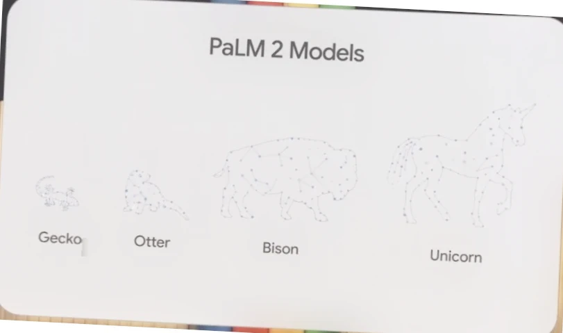 Palm2 models 