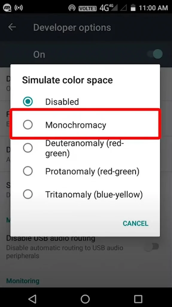 Tapping on Monochromacy settings