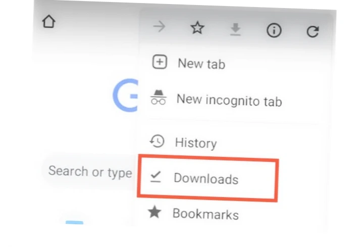 Google Chrome Downloads folder